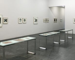 Zoologia Gráfica. Francisco Toledo, 2022.