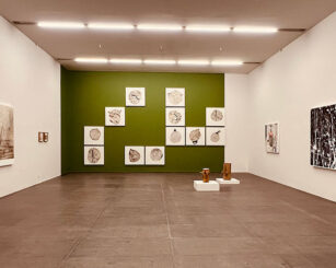 Regreso a Casa Sandoval 05