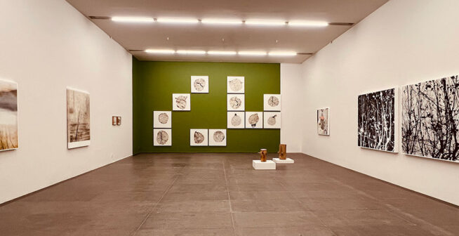 Regreso a Casa Sandoval 05